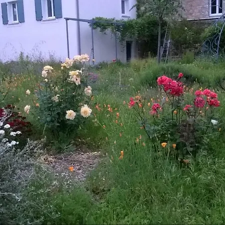 Holiday home Au Pied Du Caroux Longairou