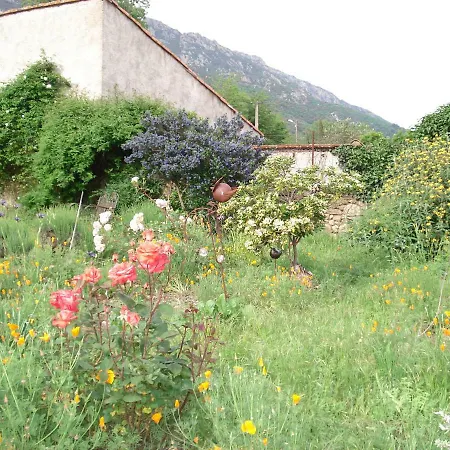 Au Pied Du Caroux Longairou * Mons (Herault)